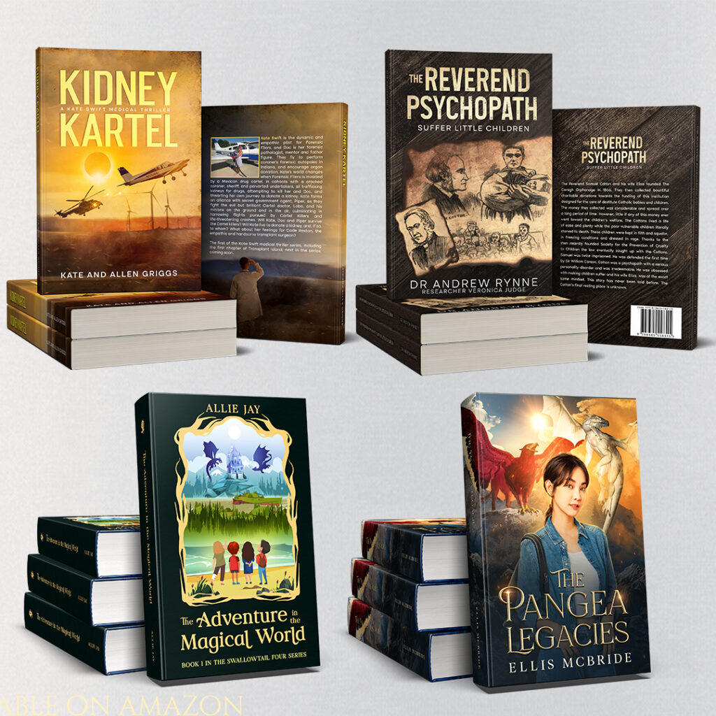 Affordable book co ver designer